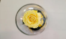 Load image into Gallery viewer, Valentines Bell Jar with Doll Figures