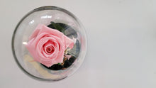 Load image into Gallery viewer, Valentines Bell Jar with Doll Figures