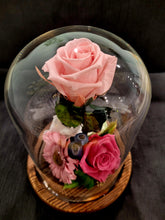 Load image into Gallery viewer, Unique Stunning Preserved Roses in Glass Dome