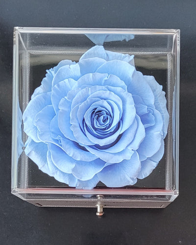 Jewelry Box with Giant Preserved Rose