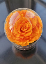 Load image into Gallery viewer, LED Light with Giant Preserved Rose