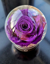 Load image into Gallery viewer, LED Light with Giant Preserved Rose