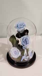 3 Stunning Preserved Roses in Glass Dome