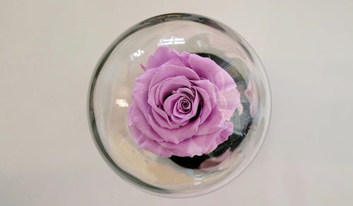 Valentines Bell Jar with Doll Figures