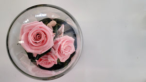 3 Stunning Preserved Roses in Glass Dome
