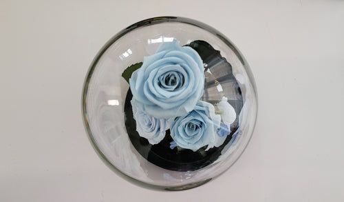 3 Stunning Preserved Roses in Glass Dome