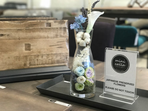 Unique Light Blue Preserved Flower Glass Vase