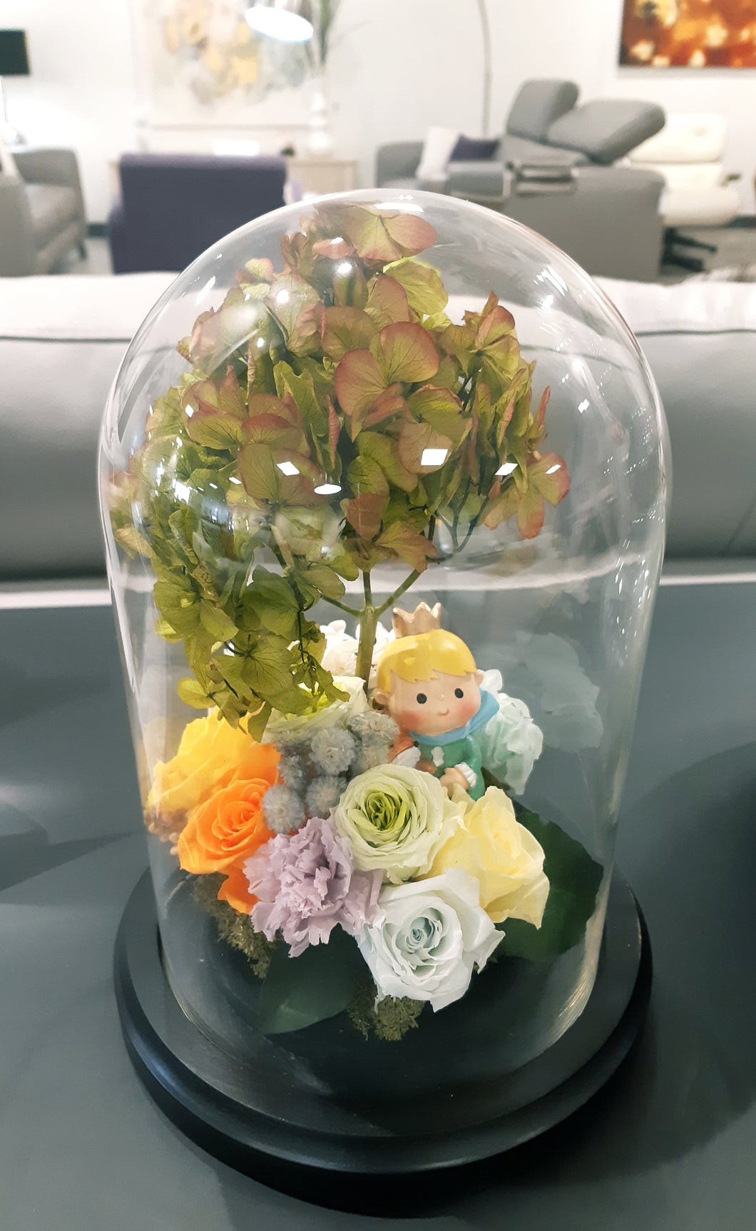 Unique Glass Dome of Little Prince Resting under Tree