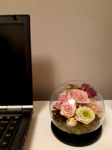 Unique Blossom of Preserved Flowers in Round Globe