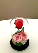 Load image into Gallery viewer, Unique Stunning Preserved Rose with Stem in Bell Jar