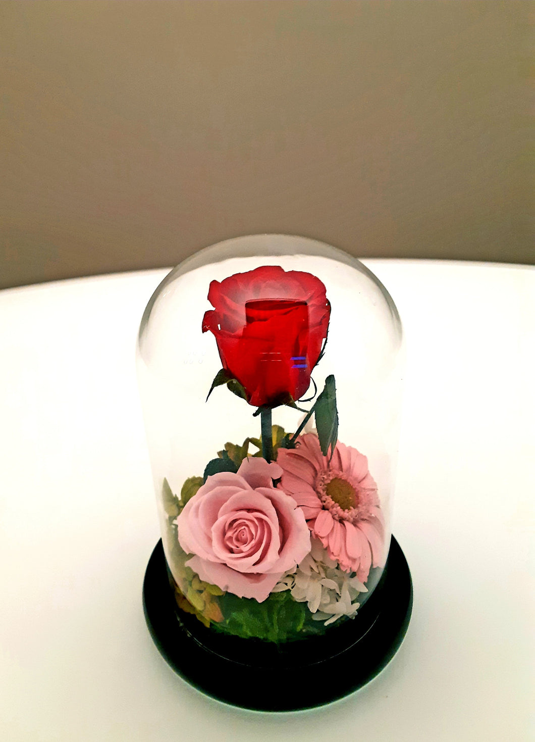 Unique Stunning Preserved Rose with Stem in Bell Jar