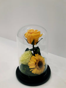 Unique Stunning Preserved Rose with Stem in Bell Jar