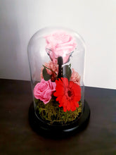 Load image into Gallery viewer, Unique Stunning Preserved Rose with Stem in Bell Jar