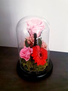 Unique Stunning Preserved Rose with Stem in Bell Jar