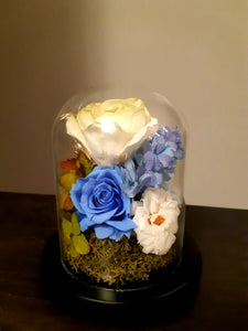 Unique Blossom of Preserved Flowers in Bell Jar