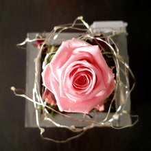 Load image into Gallery viewer, Christmas Rose with LED 194