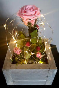 Christmas Rose with LED 194
