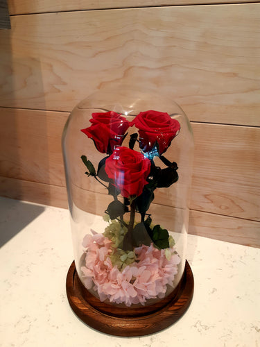 Unique 3 Stunning Preserved Roses in Glass Dome