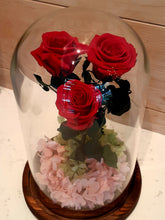 Load image into Gallery viewer, 3 Stunning Preserved Roses in Glass Dome