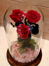 Load image into Gallery viewer, Unique 3 Stunning Preserved Roses in Glass Dome