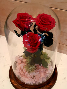 Unique Stunning Preserved Roses in Glass Dome