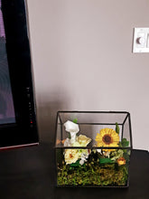 Load image into Gallery viewer, Unique Preserved Flower Greenhouse