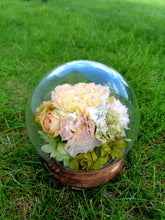 Load image into Gallery viewer, Unique Blossom of Preserved Flowers in Round Globe