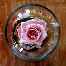 Load image into Gallery viewer, Unique Stunning Preserved Rose with Stem in Bell Jar