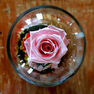 Unique Stunning Preserved Rose with Stem in Bell Jar